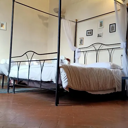 Dimora Del Conte * بيزا